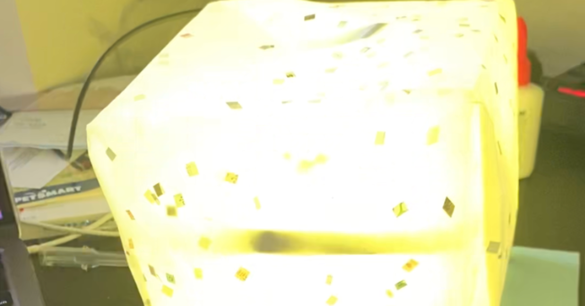 Fruit Light